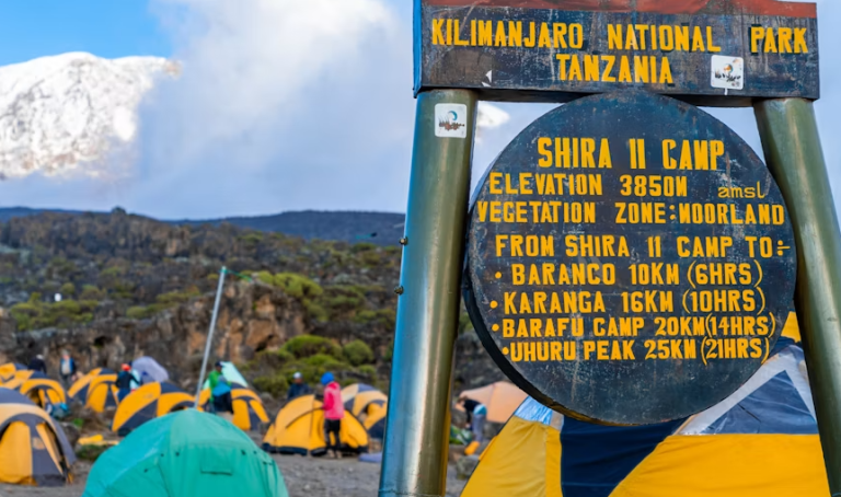 Day 1: Machame Gate to Machame Camp – 6-Day Kilimanjaro Machame Route Trek