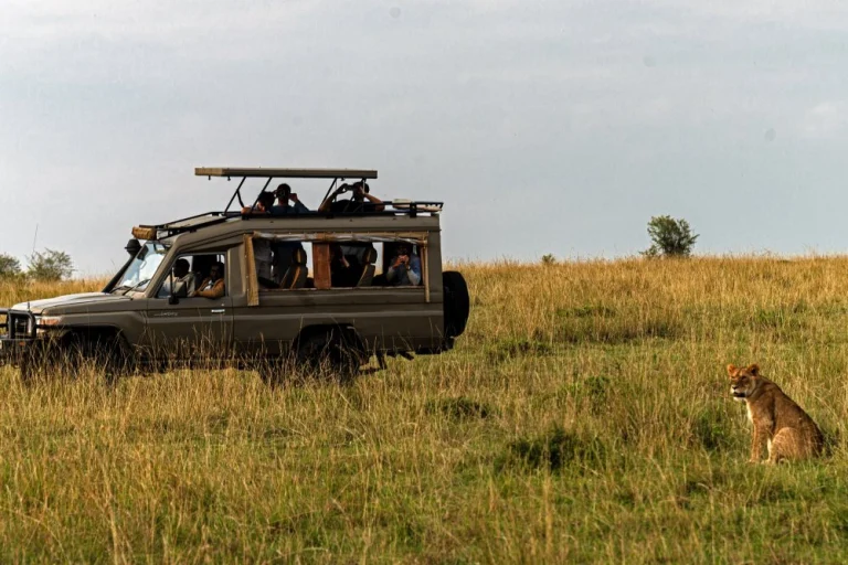 Serengeti – 5 Days Family Getaway Safari: Tarangire, Lake Manyara, Serengeti & Ngorongoro