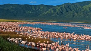 2 Days Ol Doinyo Lengai Climb from Lake Natron