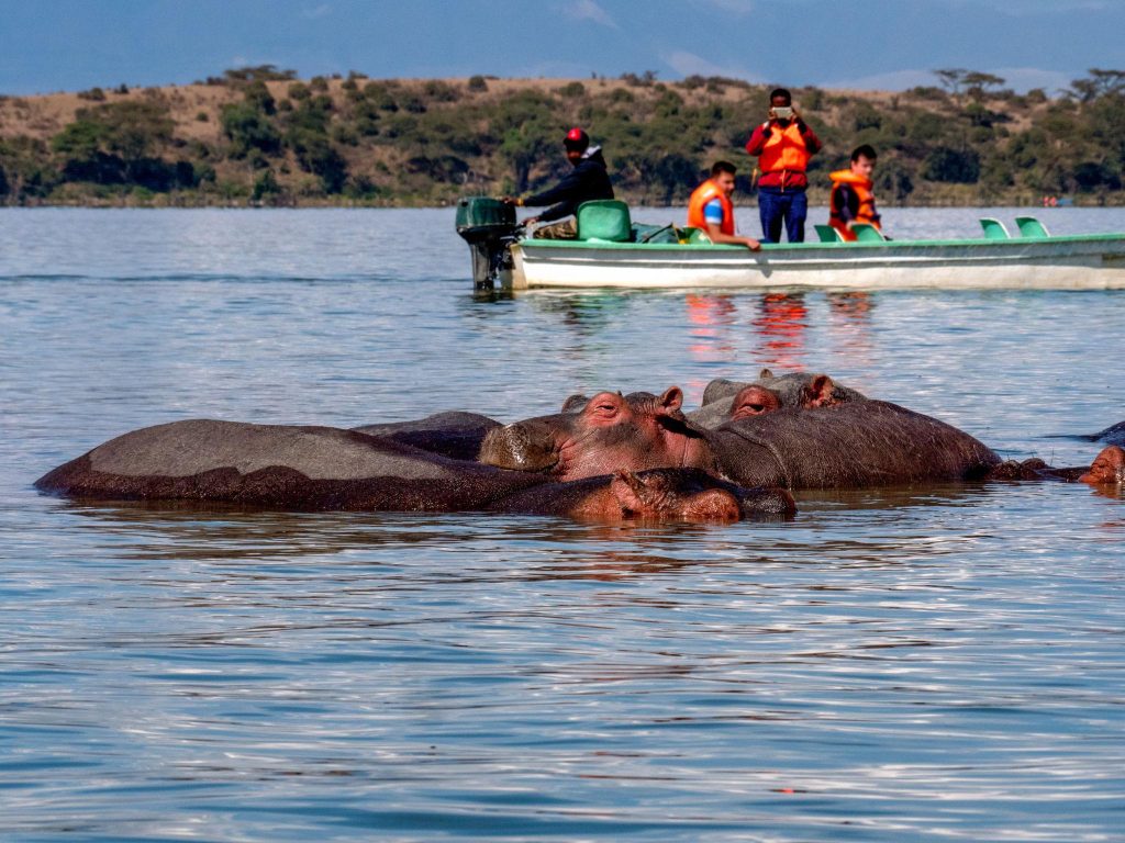 3-Day Maasai Mara & Lake Naivasha