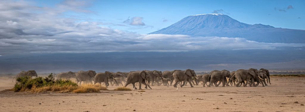 6-Day Kilimanjaro Machame Route Trek