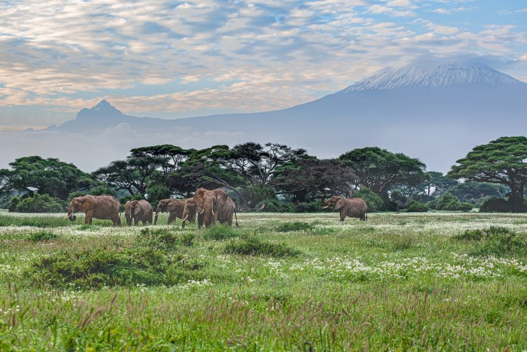 Day 1: Machame Gate to Machame Camp – 6-Day Kilimanjaro Machame Route Trek