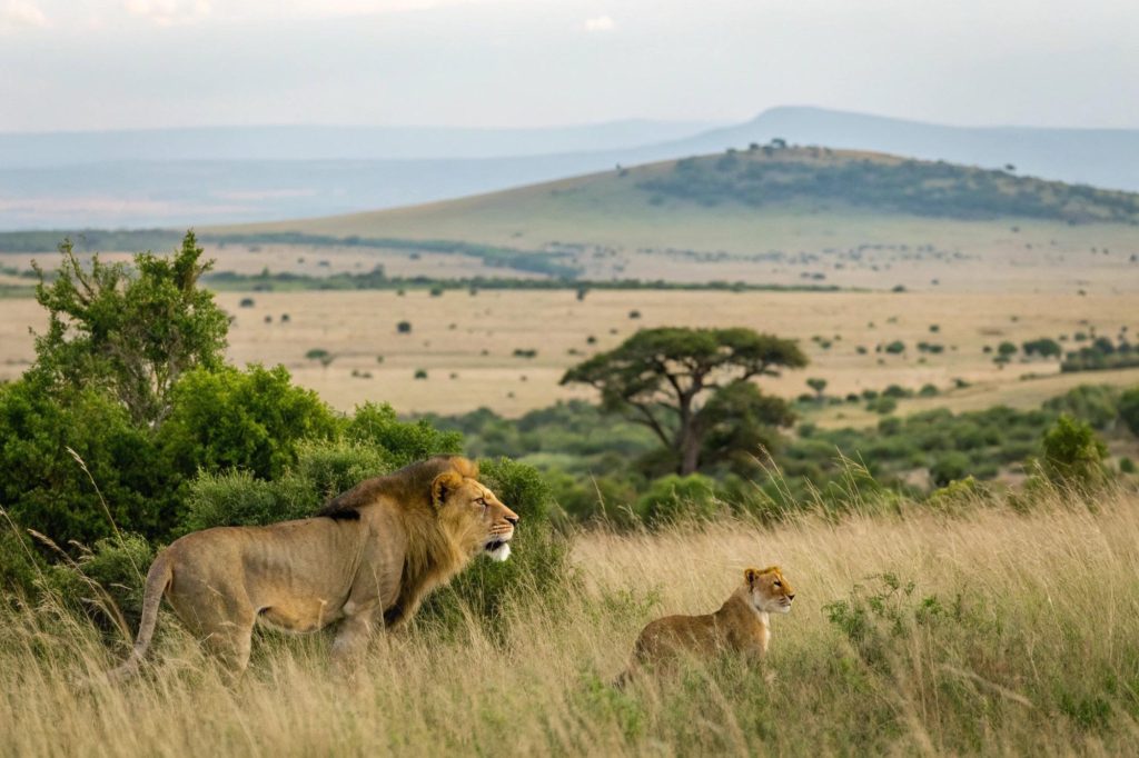 Kenya & Tanzania Grand Safari