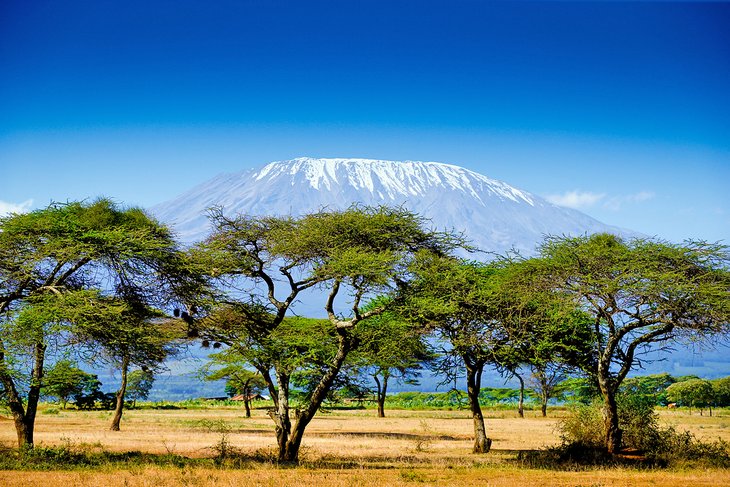 6-Day Kilimanjaro Machame Route Trek