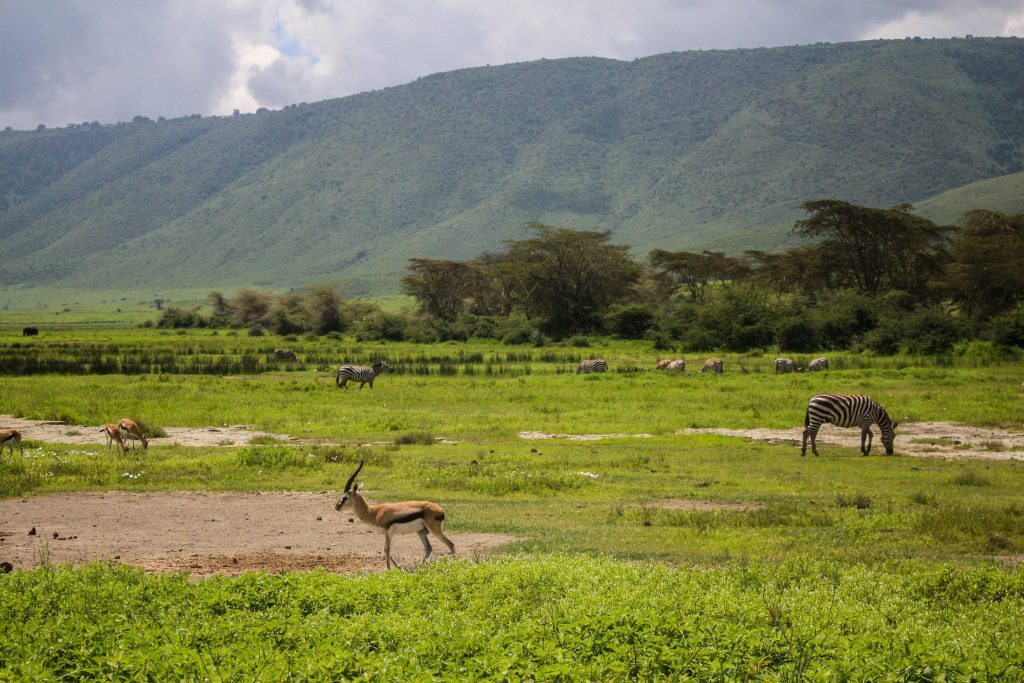 3-Day Ngorongoro & Serengeti Camping