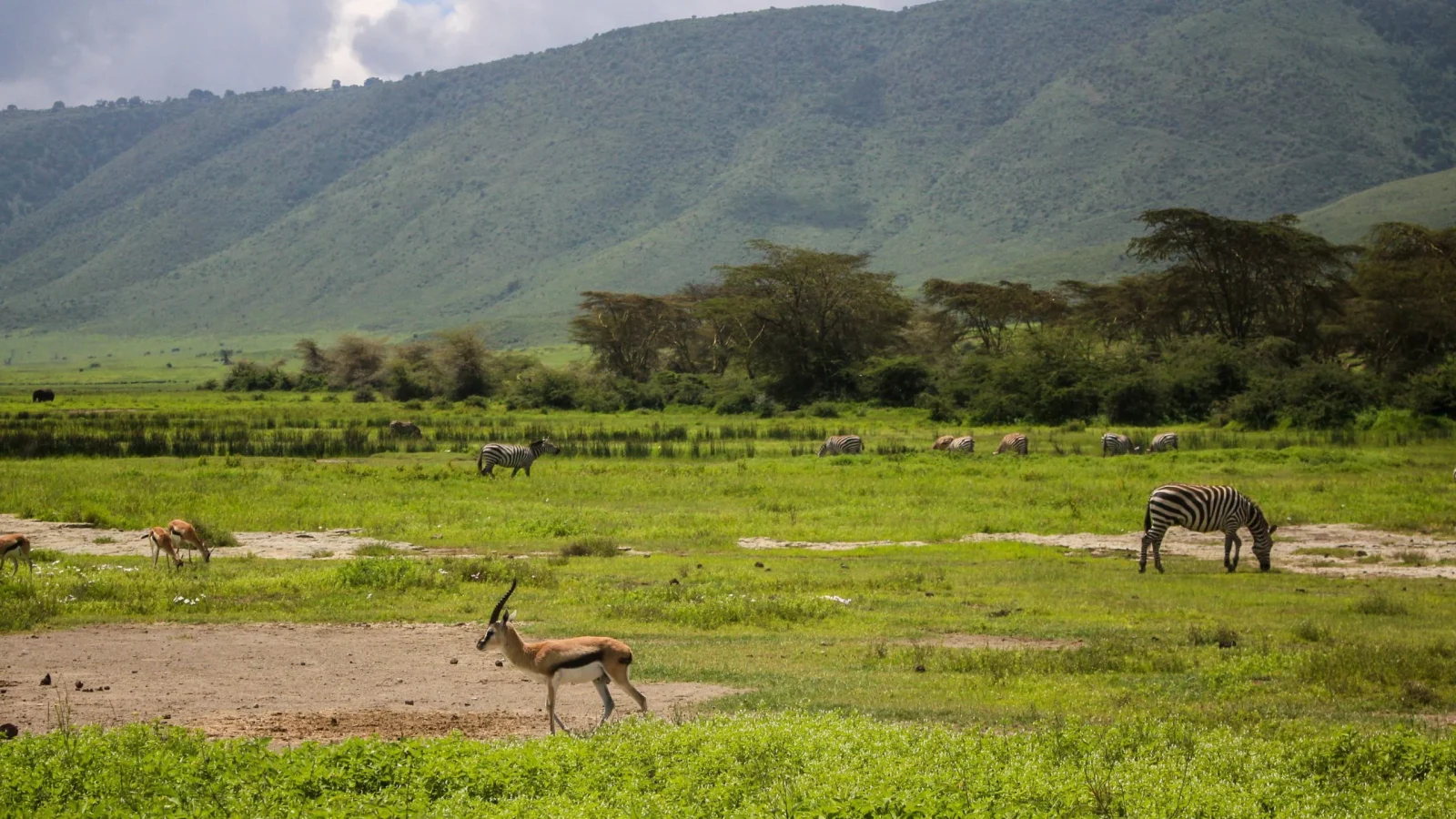 Ngorongoro Crater: A Complete Visitor’s Guide