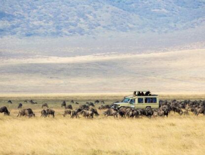 Kenya & Tanzania Grand Safari