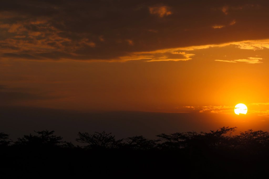 10 Tips for First-Time Safari Travelers