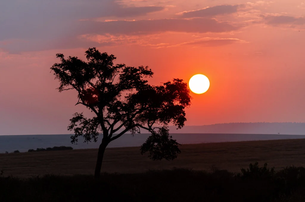 5 Day Luxury Romantic Honeymoon Safari