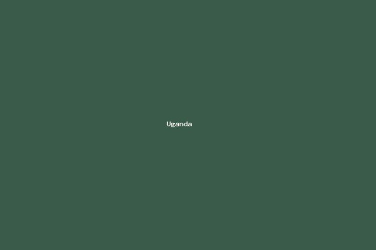 Uganda Gorilla Trekking Adventure