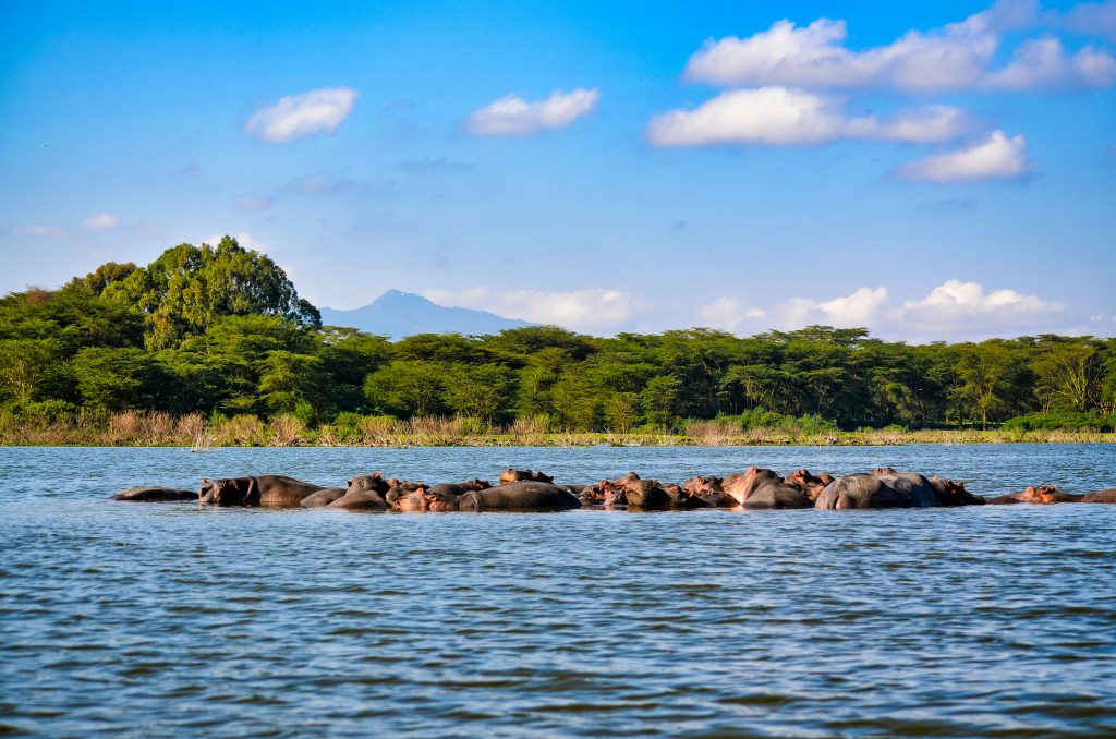 3-Day Maasai Mara & Lake Naivasha