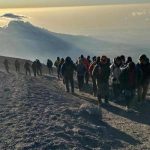 1 1000×563 600×400 300×225@2x 300×225@2x 600×400 150×150@2x 150×150@2x 150×150