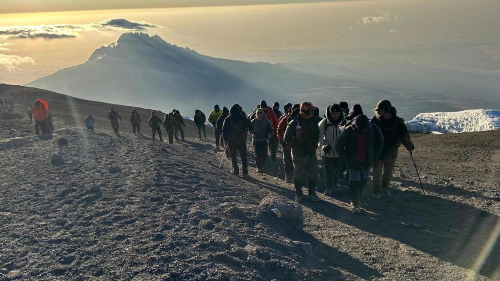 1 1000×563 800×533 768×512@2x 768×432@2x