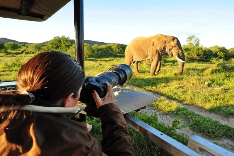 Day 2: Ngorongoro – Lake Manyara – Arusha – 2-Day Photographic Fly-in & Out Ngorongoro Safari