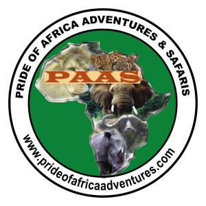 Pride of Africa Adventures & Safaris
