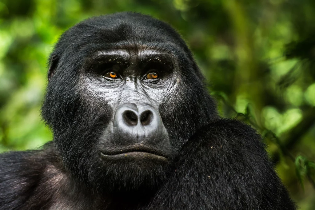 Rwanda