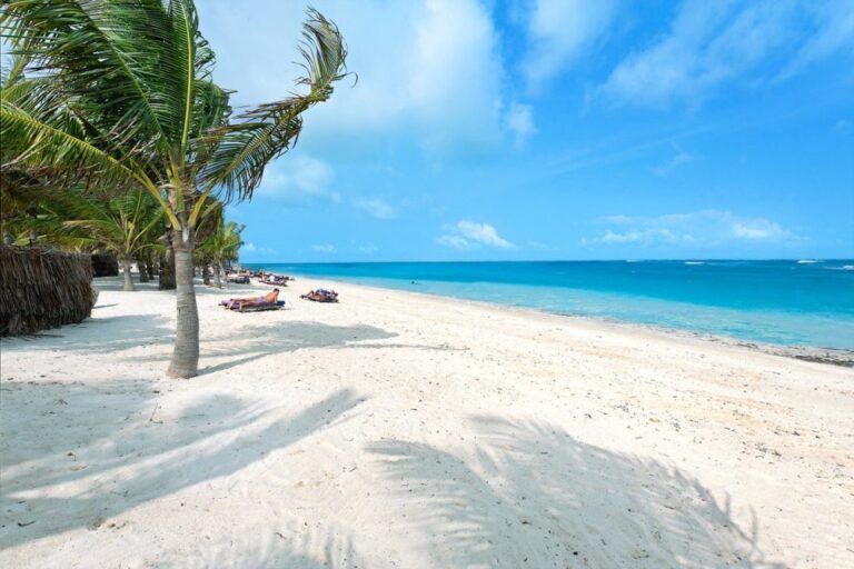 Best of Kenya: Safari & Beach Escape