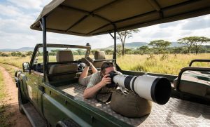 Photography Safaris