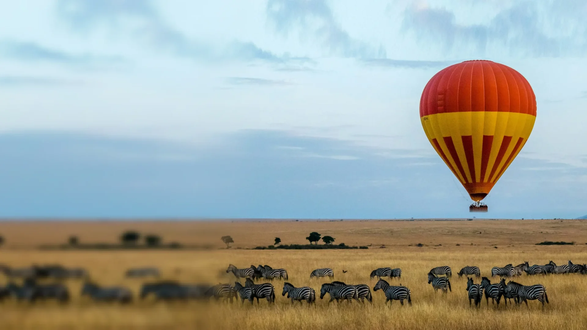 Discover Africa's Most Extraordinary Wildlife Experiences