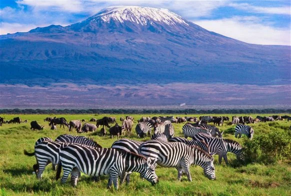 Lake Naivasha – Amboseli