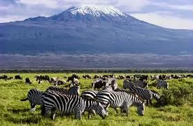 Lake Nakuru - Amboseli