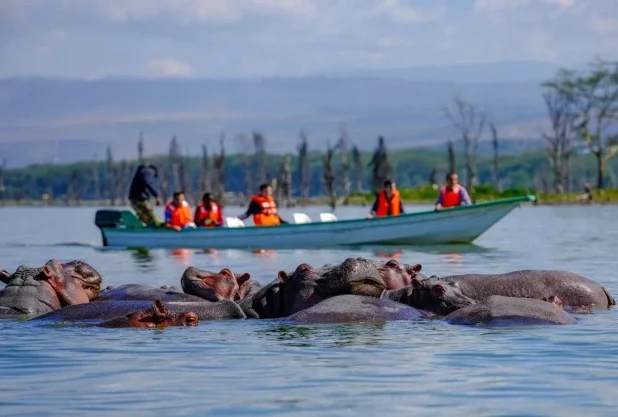 Masai Mara- Lake Naivasha