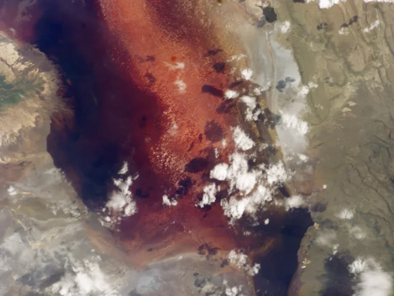 Lake Natron in northern Tanzania photographed from the International Space Station